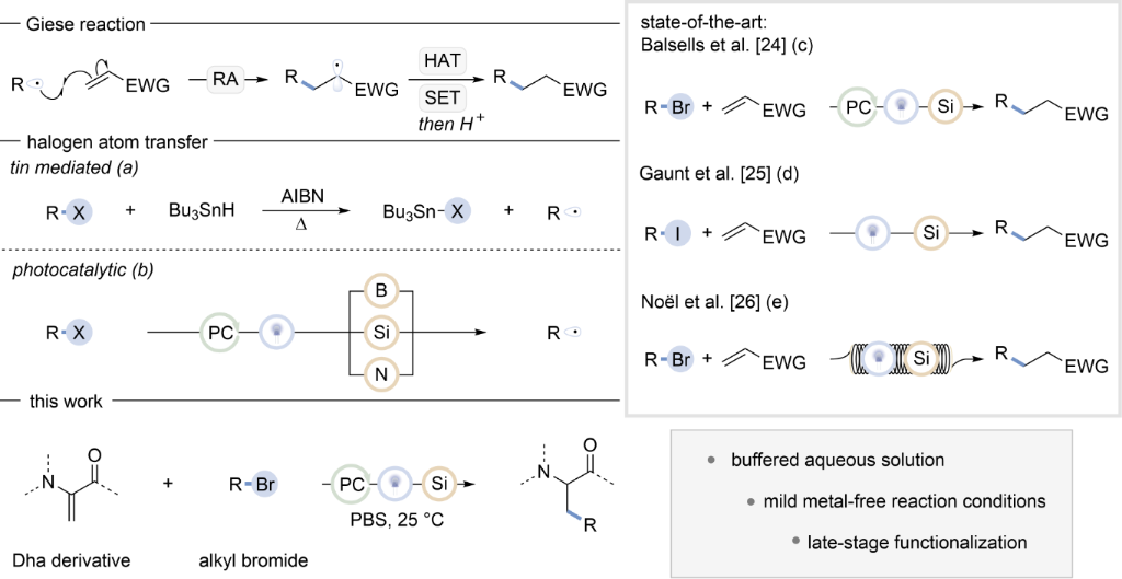 [1860-5397-20-271-1]