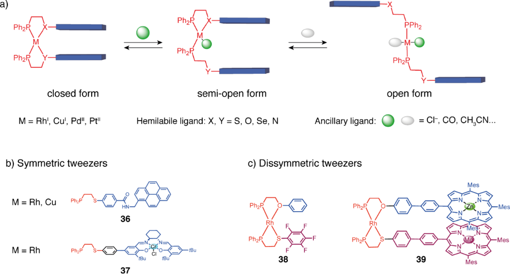 [1860-5397-20-45-20]