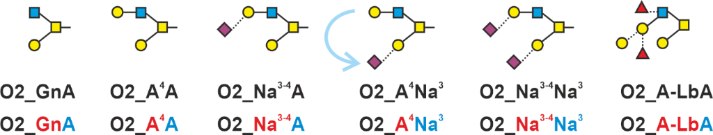 [1860-5397-20-53-12]