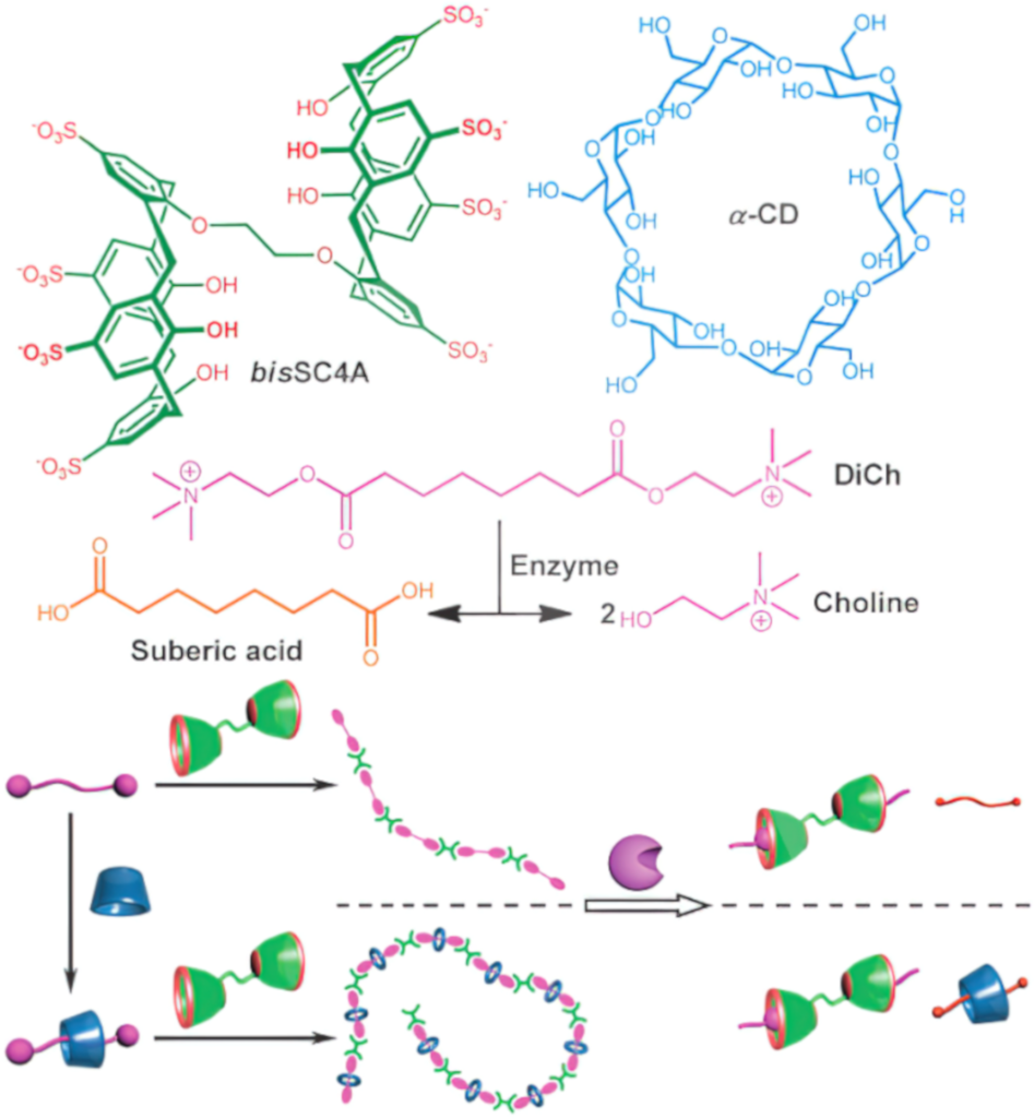 [1860-5397-21-139-12]