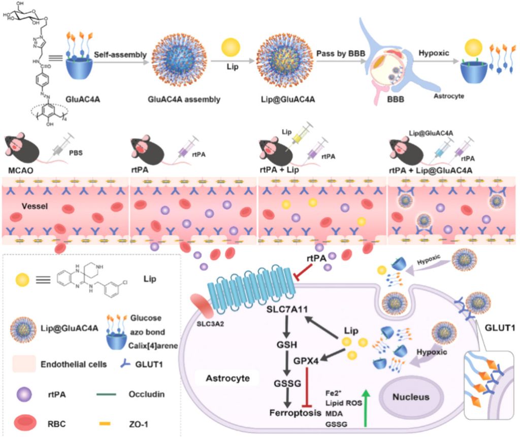 [1860-5397-21-139-18]