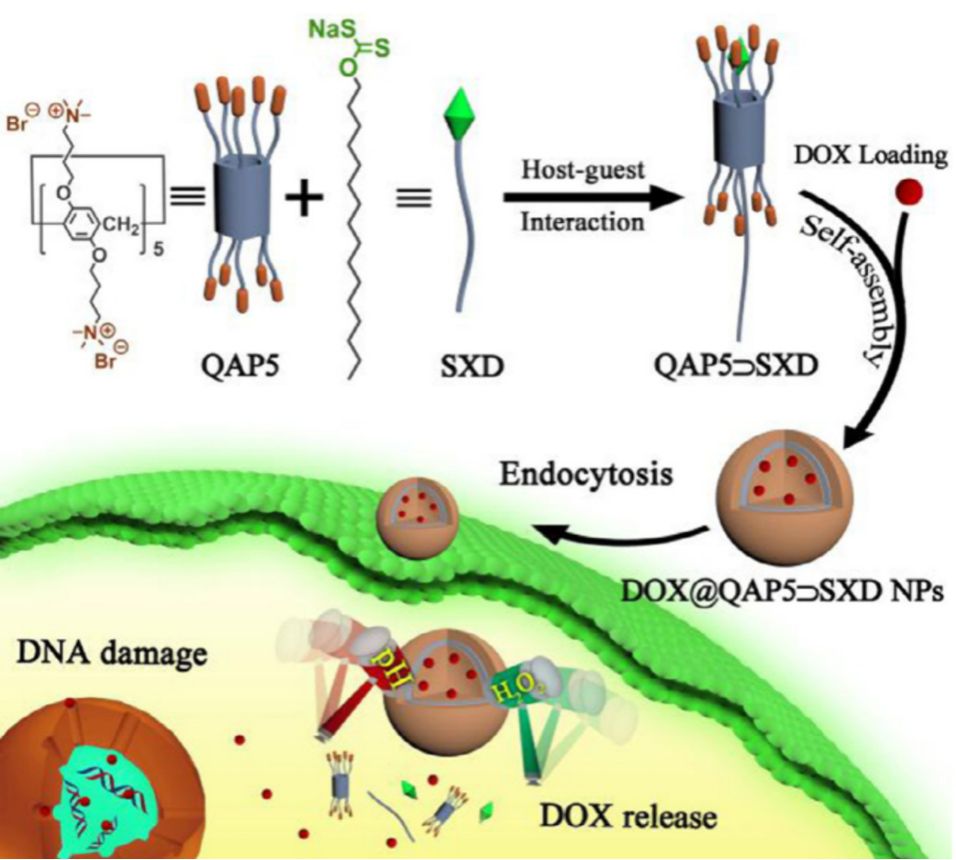 [1860-5397-21-139-22]