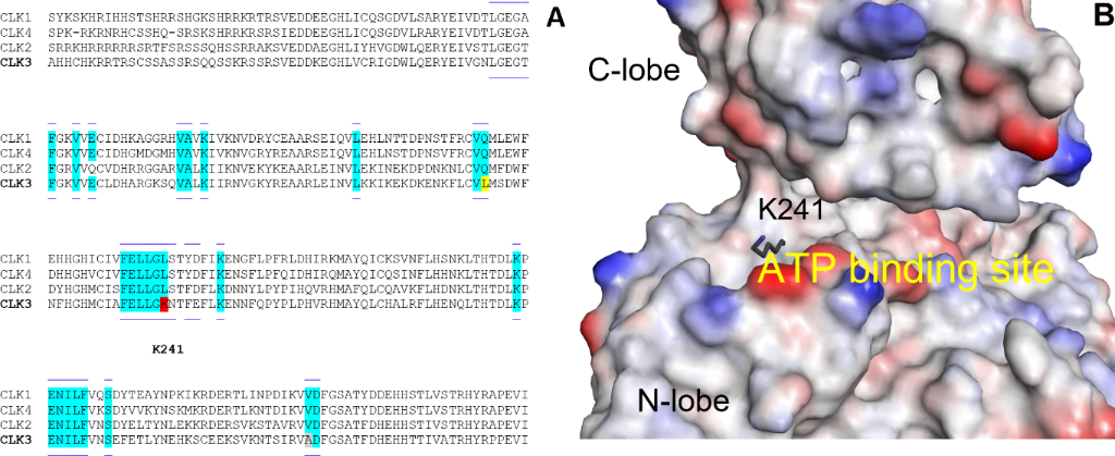 [1860-5397-21-172-1]