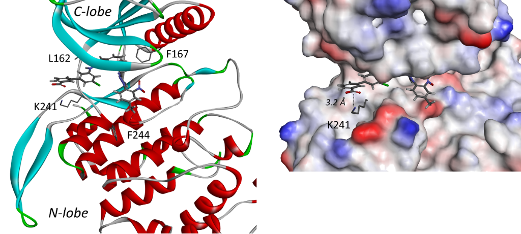 [1860-5397-21-172-5]