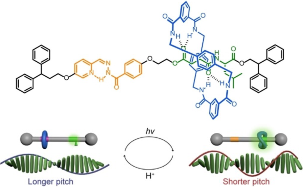 [1860-5397-21-179-10]