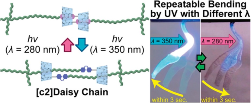 [1860-5397-21-179-12]