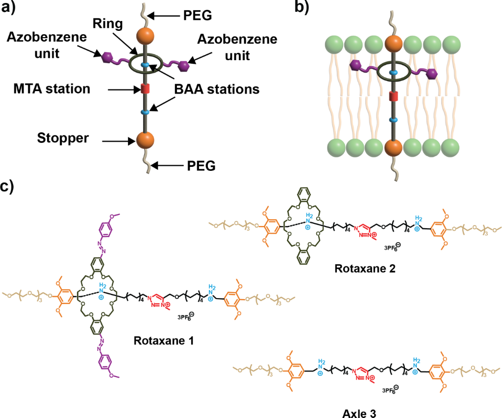 [1860-5397-21-192-1]