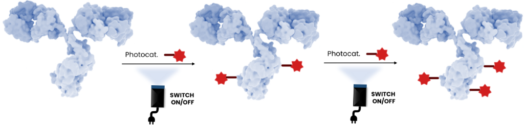 [1860-5397-21-49-10]