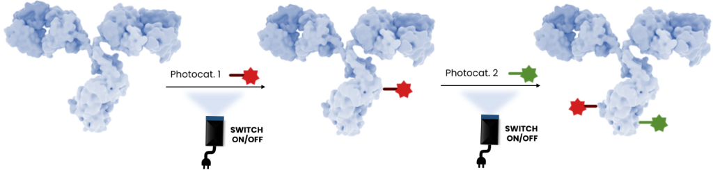 [1860-5397-21-49-11]