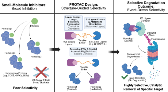 Graphical Abstract