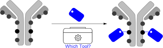 Graphical Abstract