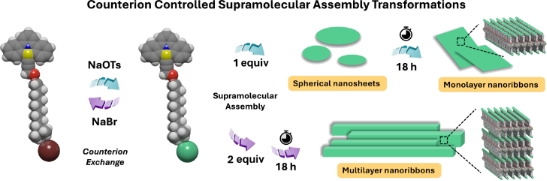 Graphical Abstract