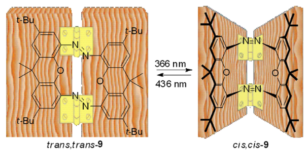 [1860-5397-8-119-11]