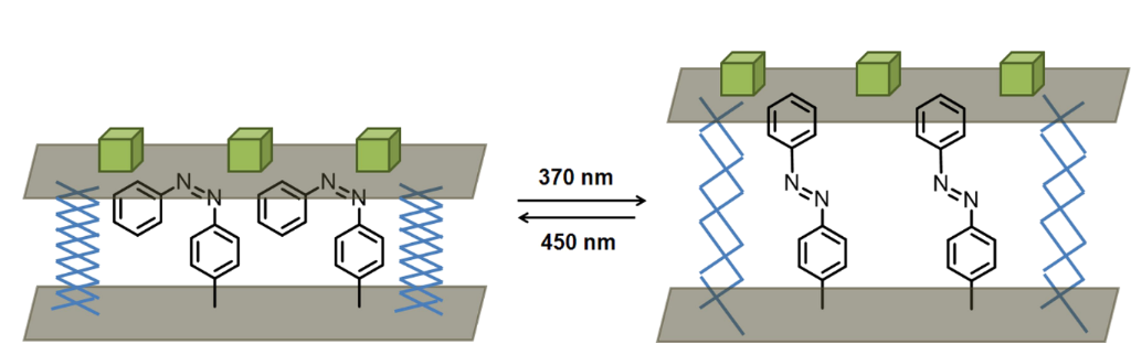 [1860-5397-8-119-17]