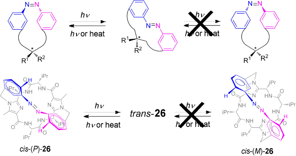 [1860-5397-8-119-22]