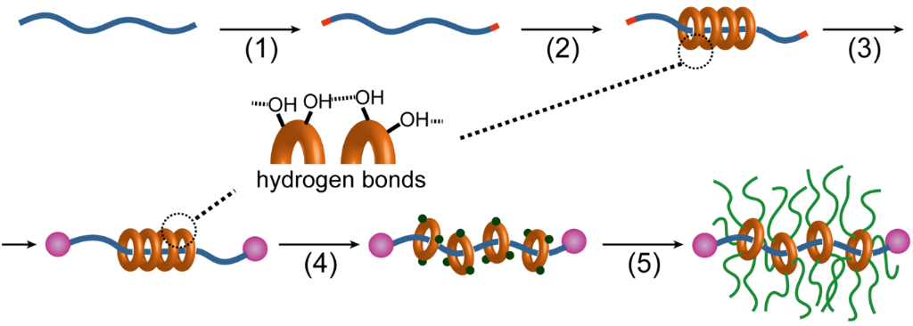 [1860-5397-10-269-i1]