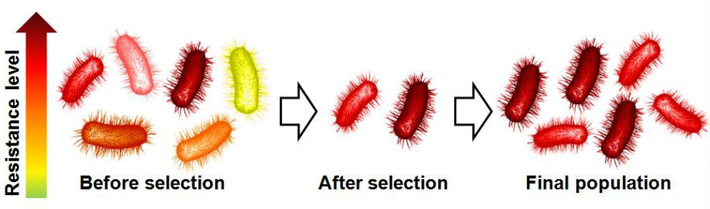 [1860-5397-10-273-i1]