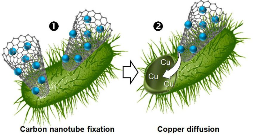 [1860-5397-10-273-i10]