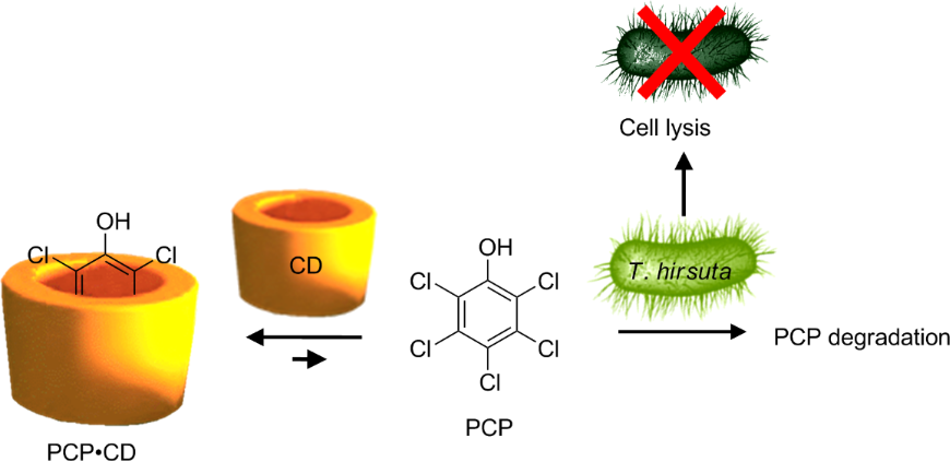 [1860-5397-10-273-i3]