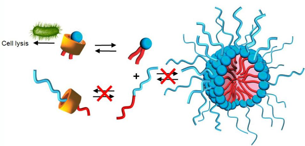 [1860-5397-10-273-i7]