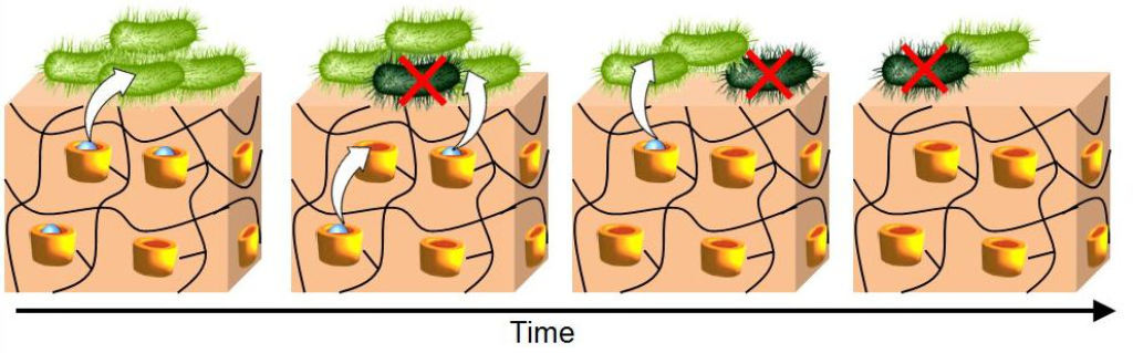 [1860-5397-10-273-i8]