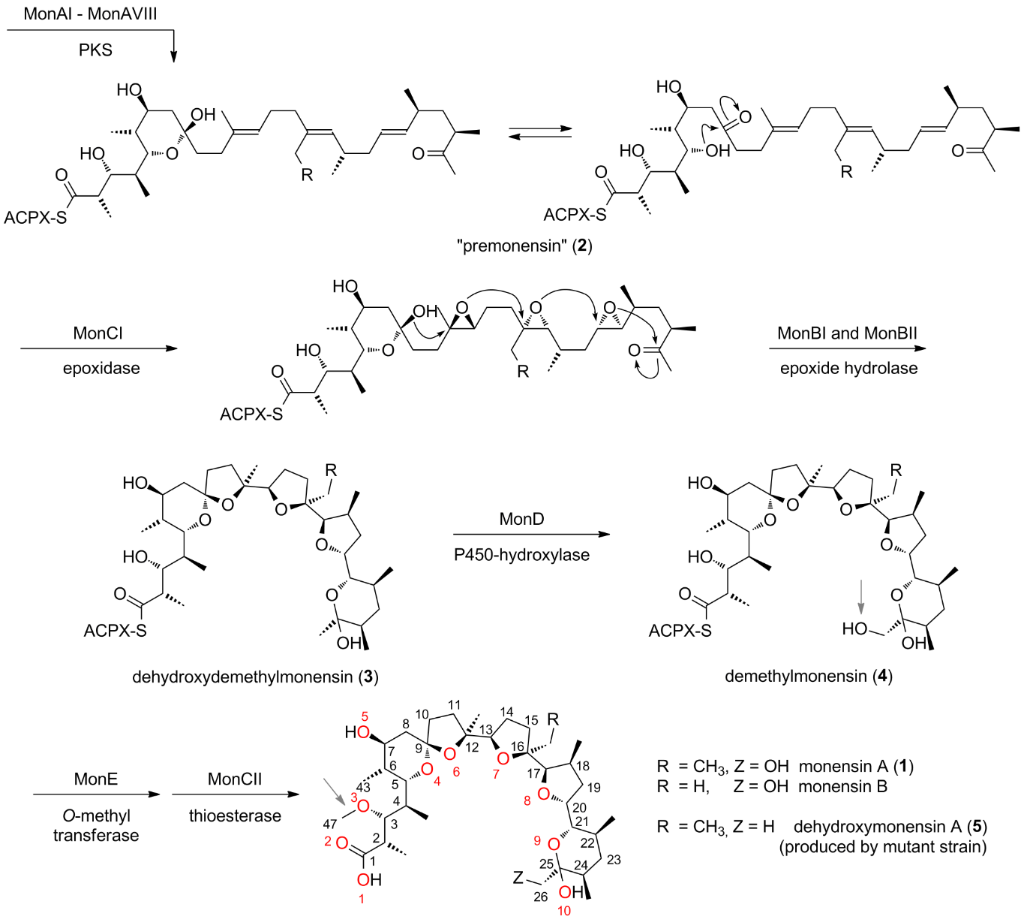 [1860-5397-10-34-i1]