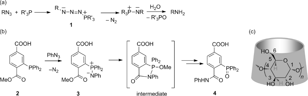 [1860-5397-10-73-i1]