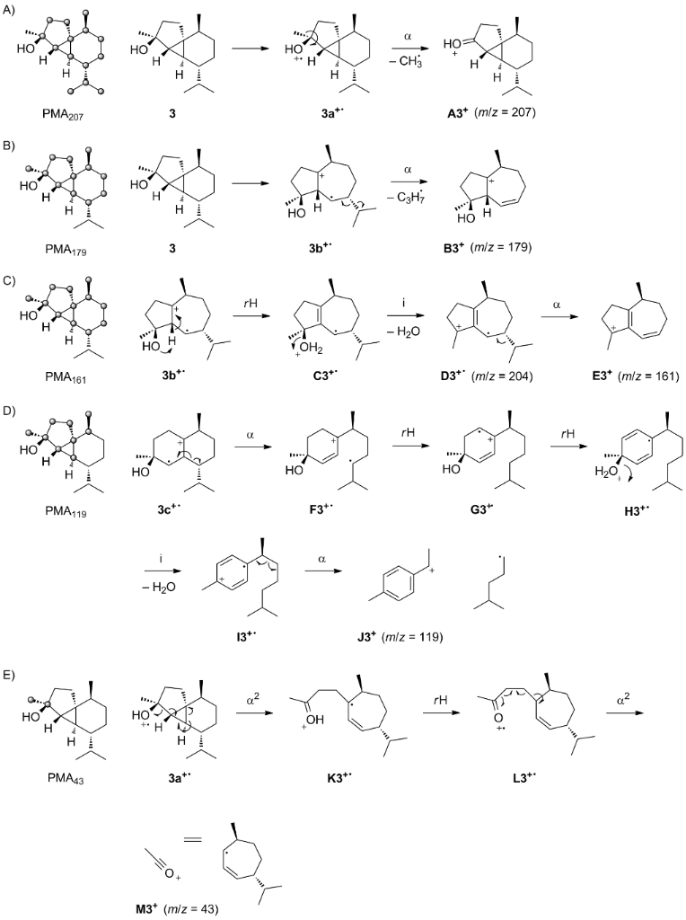 [1860-5397-12-132-i4]