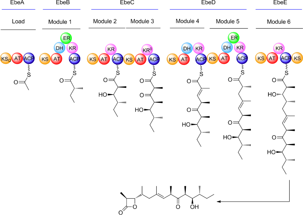 [1860-5397-12-206-i1]