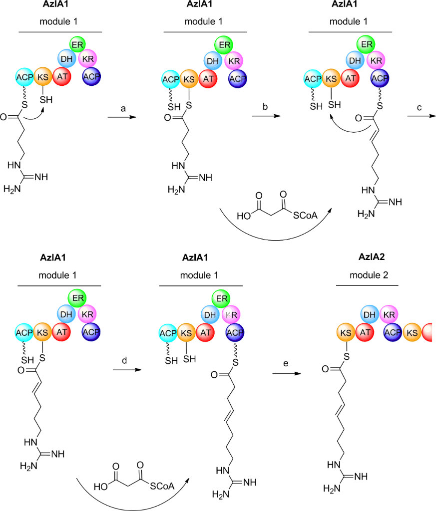 [1860-5397-12-206-i2]