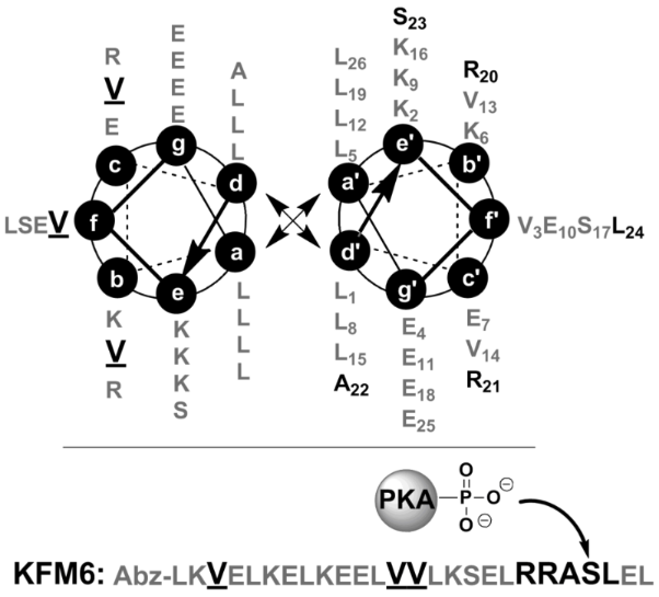 [1860-5397-12-240-i1]