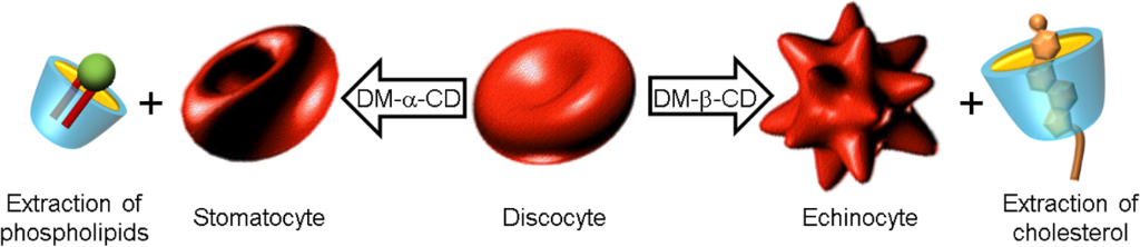 [1860-5397-12-261-i2]