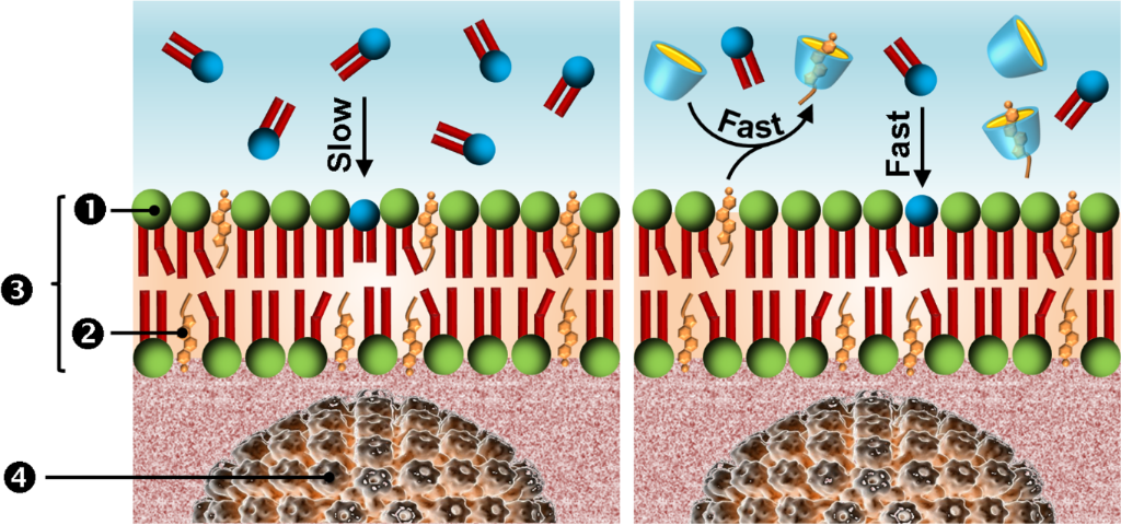 [1860-5397-12-261-i7]