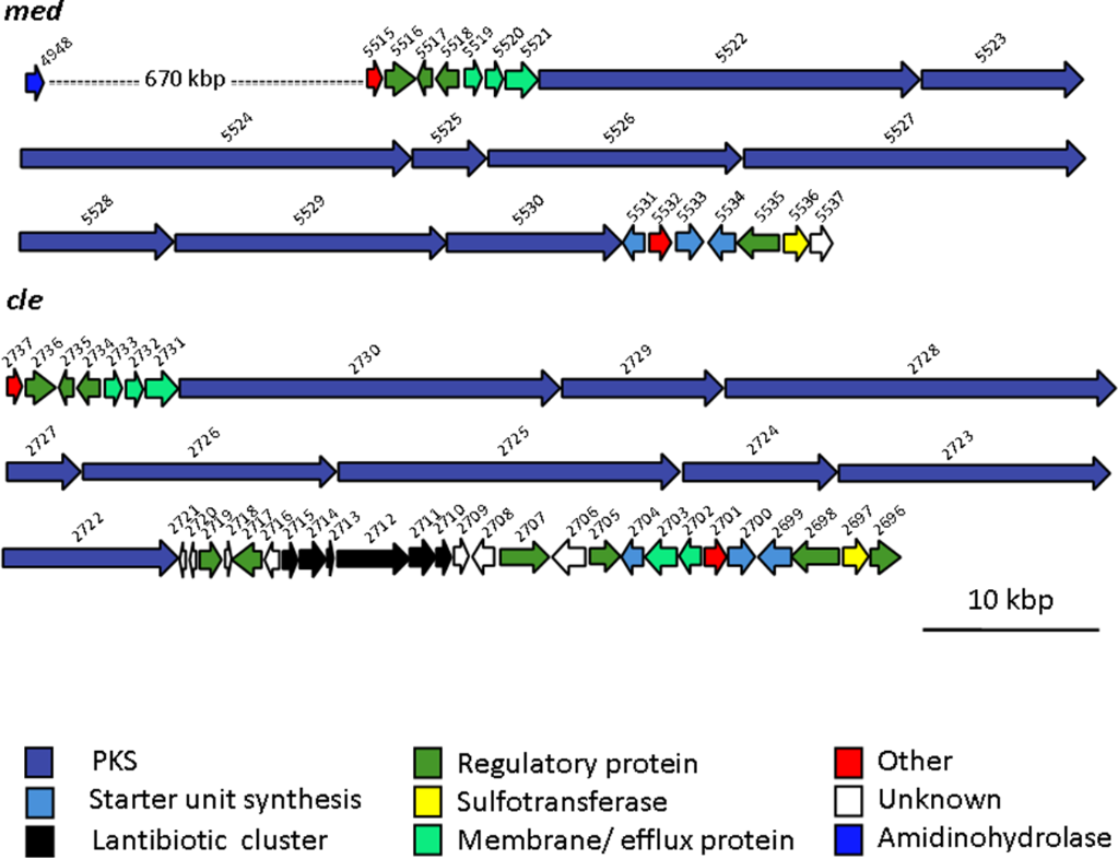 [1860-5397-13-238-i2]