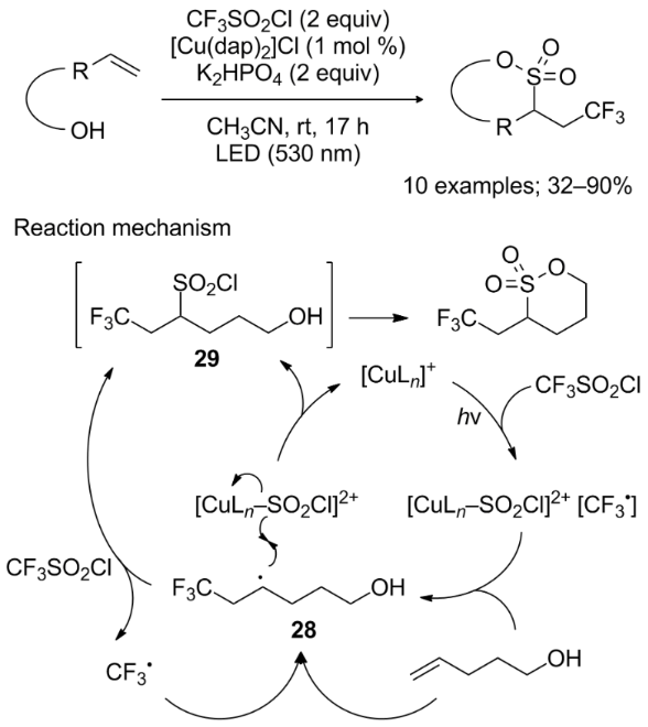 [1860-5397-13-273-i23]