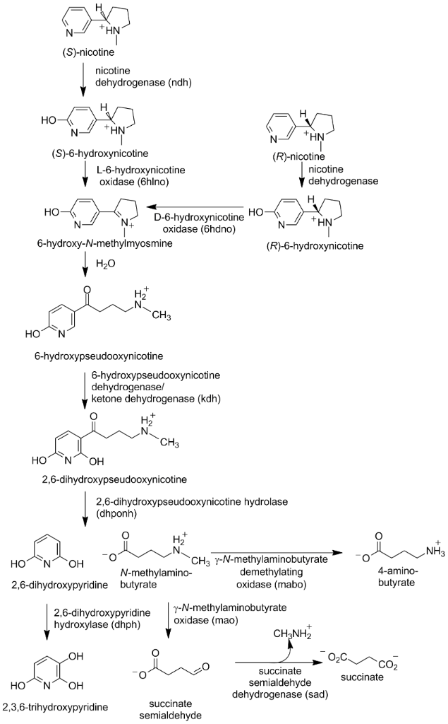 [1860-5397-14-204-i1]