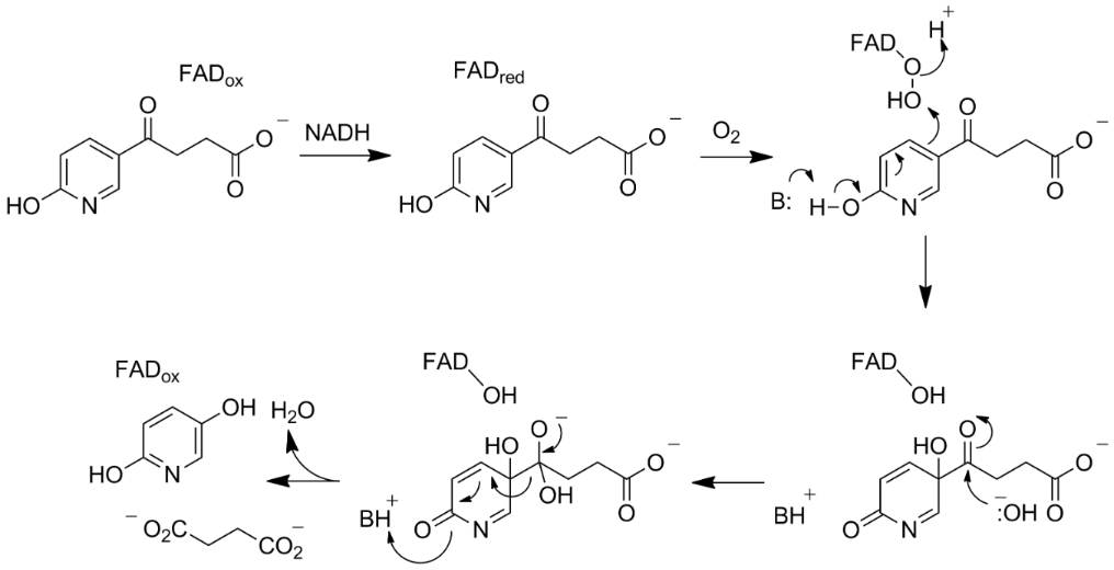 [1860-5397-14-204-i10]