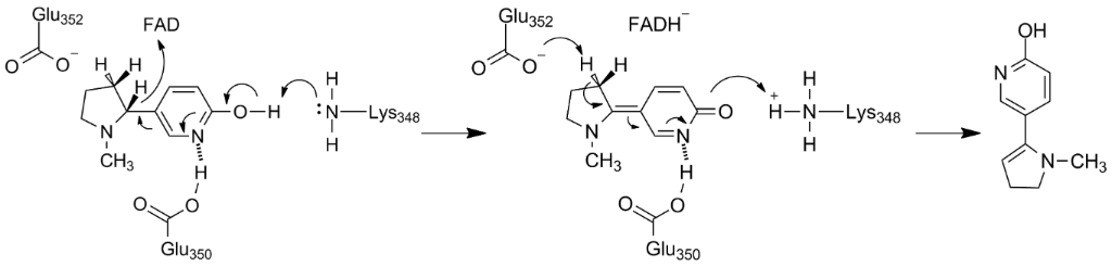 [1860-5397-14-204-i5]