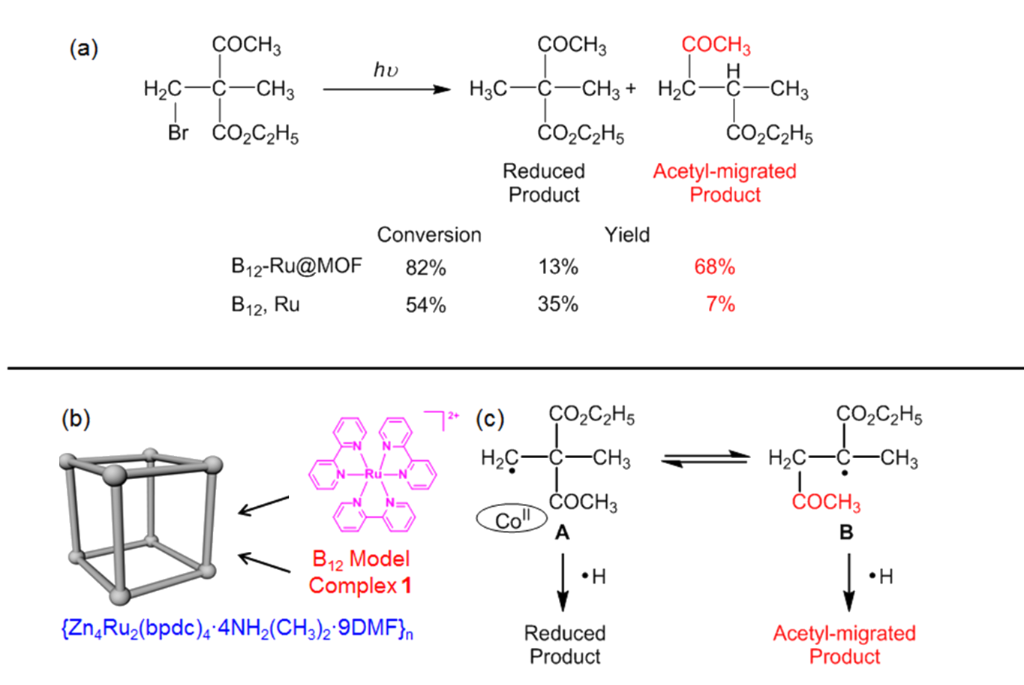 [1860-5397-14-232-i5]