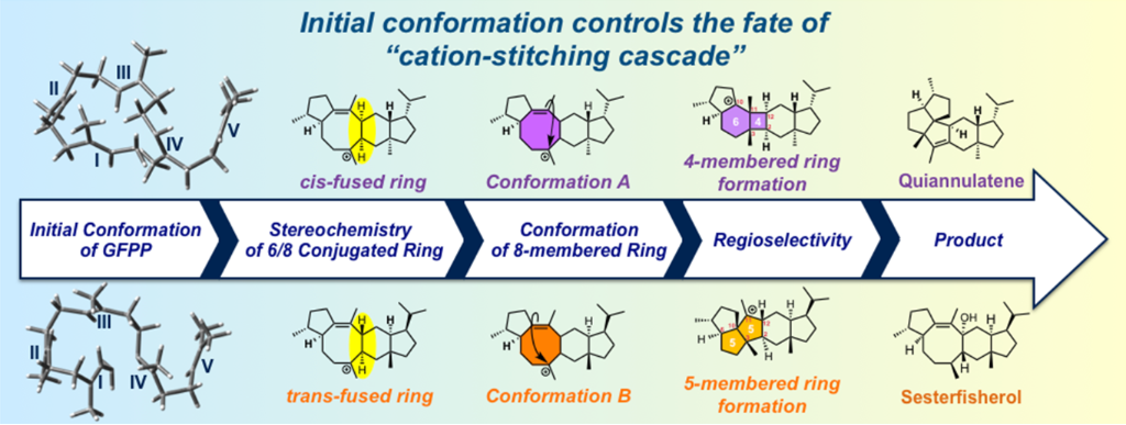 [1860-5397-15-184-i1]