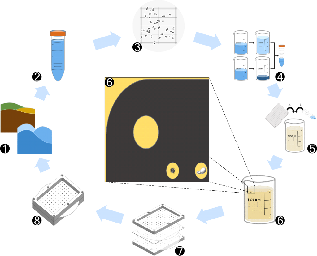 [1860-5397-15-216-i2]