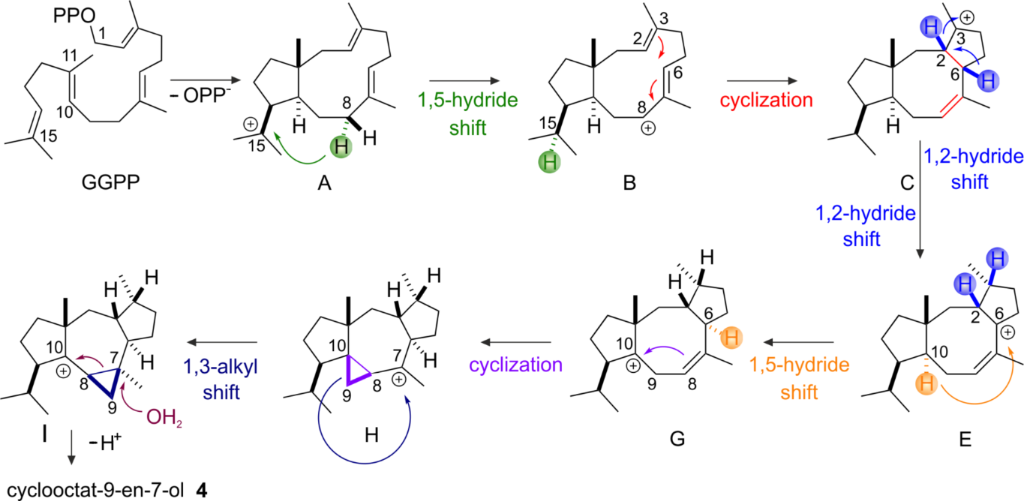 [1860-5397-15-228-i2]