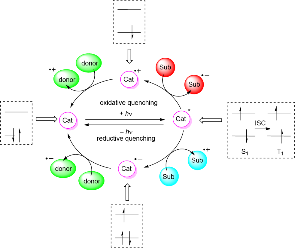 [1860-5397-16-125-i4]