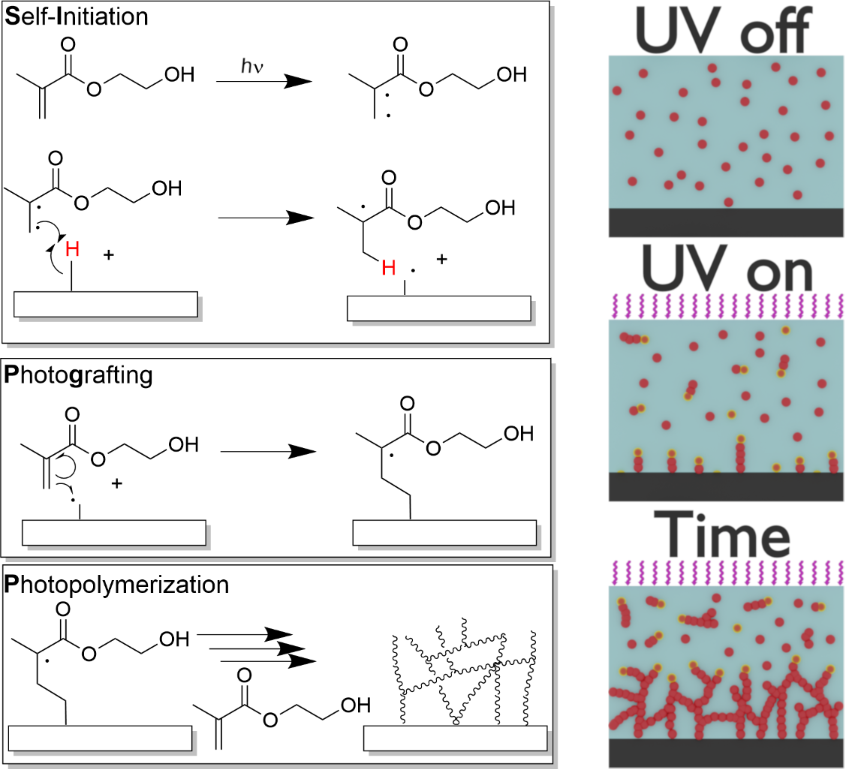 [1860-5397-17-136-i1]