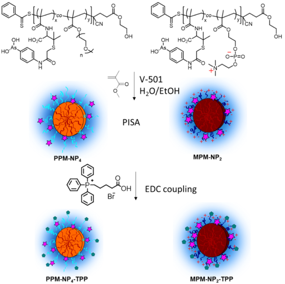 [1860-5397-17-148-i1]