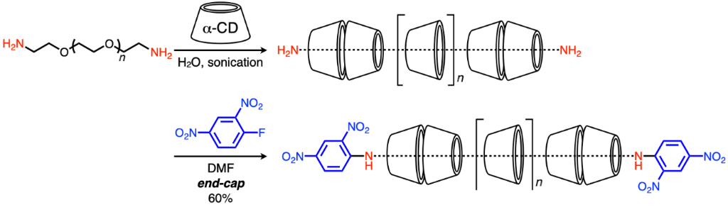 [1860-5397-20-252-i2]