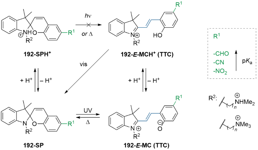 [1860-5397-21-143-i61]