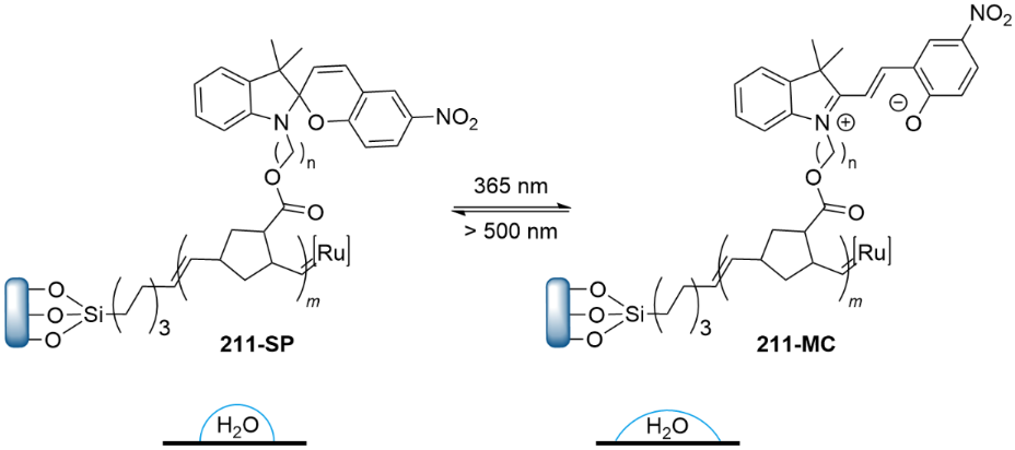 [1860-5397-21-143-i68]