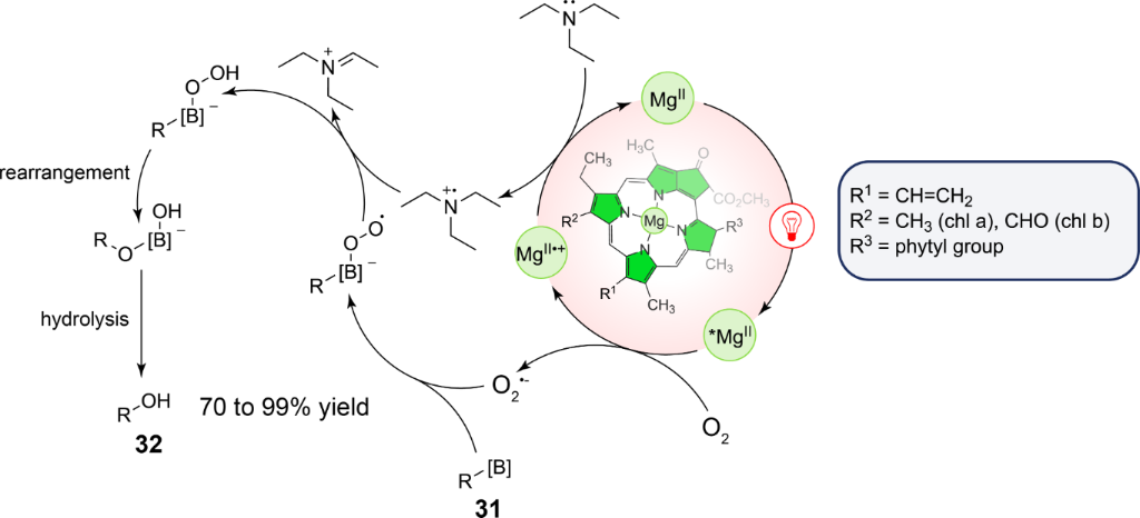 [1860-5397-21-22-i11]