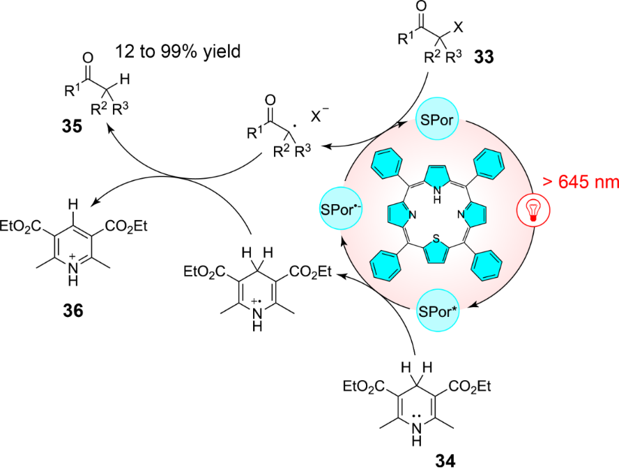 [1860-5397-21-22-i12]